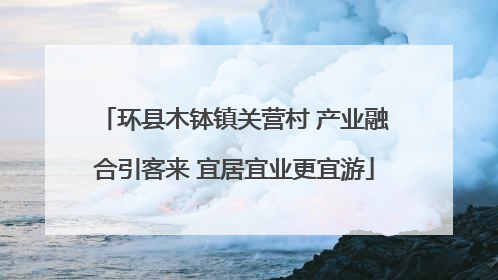 环县木钵镇关营村 产业融合引客来 宜居宜业更宜游