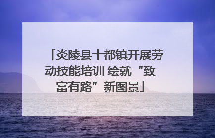 炎陵县十都镇开展劳动技能培训 绘就“致富有路”新图景