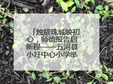 烛耀珠城映初心，师德报告启新程——五河县小圩中心小学举行师德报告会