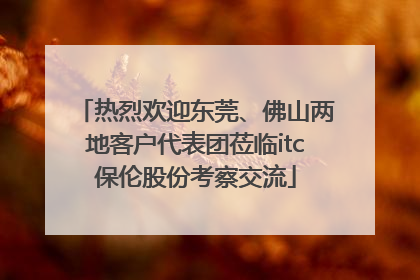 热烈欢迎东莞、佛山两地客户代表团莅临itc保伦股份考察交流
