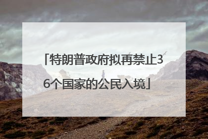 特朗普政府拟再禁止36个国家的公民入境