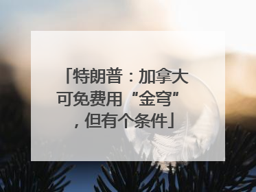 特朗普：加拿大可免费用“金穹”，但有个条件