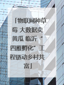 物联网种草莓 大数据卖黄瓜 临沂“四雁孵化”工程链动乡村共富