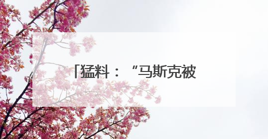 猛料：“马斯克被长期秘密监控！”