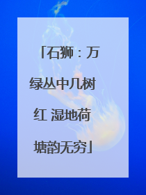石狮：万绿丛中几树红 湿地荷塘韵无穷