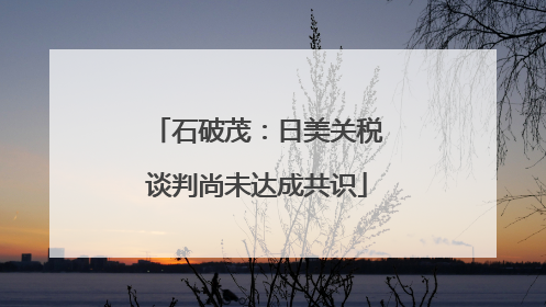 石破茂：日美关税谈判尚未达成共识