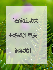 石家庄功夫主场战胜重庆铜梁龙