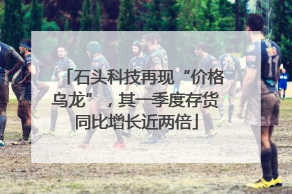 石头科技再现“价格乌龙”，其一季度存货同比增长近两倍