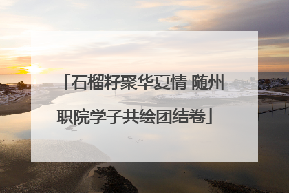 石榴籽聚华夏情 随州职院学子共绘团结卷