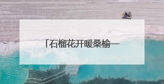 石榴花开暖桑榆——记利津县养老服务协会负责人、民族团结践行者魏喜凤