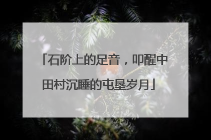 石阶上的足音，叩醒中田村沉睡的屯垦岁月