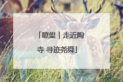 瞭望｜走近陶寺 寻迹尧舜