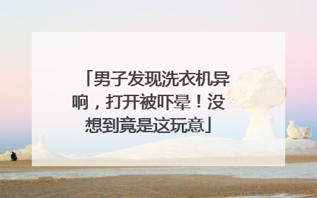 男子发现洗衣机异响，打开被吓晕！没想到竟是这玩意