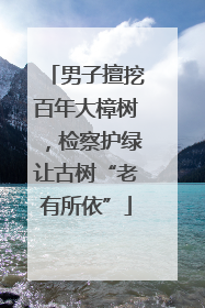 男子擅挖百年大樟树，检察护绿让古树“老有所依”