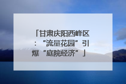 甘肃庆阳西峰区：“流量花园”引爆“庭院经济”