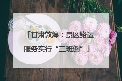 甘肃敦煌：景区骆运服务实行“三班倒”