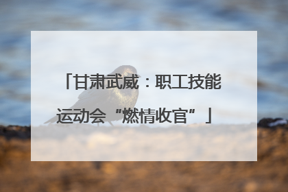 甘肃武威：职工技能运动会“燃情收官”