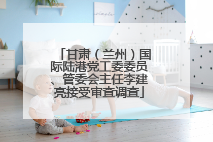 甘肃（兰州）国际陆港党工委委员、管委会主任李建亮接受审查调查