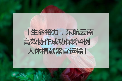 生命接力，东航云南高效协作成功保障4例人体捐献器官运输
