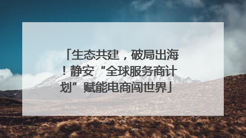 生态共建，破局出海！静安“全球服务商计划”赋能电商闯世界