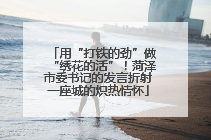 用“打铁的劲”做“绣花的活”！菏泽市委书记的发言折射一座城的炽热情怀