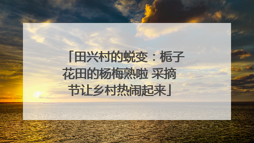 田兴村的蜕变：栀子花田的杨梅熟啦 采摘节让乡村热闹起来