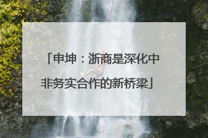 申坤：浙商是深化中非务实合作的新桥梁