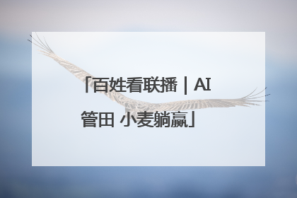 百姓看联播｜AI管田 小麦躺赢