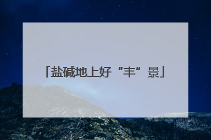 盐碱地上好“丰”景