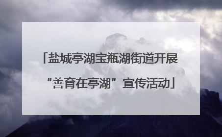 盐城亭湖宝瓶湖街道开展“善育在亭湖”宣传活动