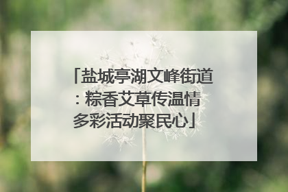 盐城亭湖文峰街道：粽香艾草传温情 多彩活动聚民心