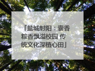 盐城射阳：囊香粽香飘溢校园 传统文化深植心田