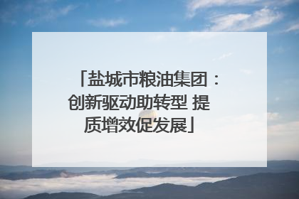 盐城市粮油集团：创新驱动助转型 提质增效促发展