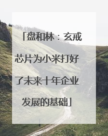 盘和林：玄戒芯片为小米打好了未来十年企业发展的基础