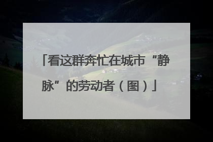看这群奔忙在城市“静脉”的劳动者（图）