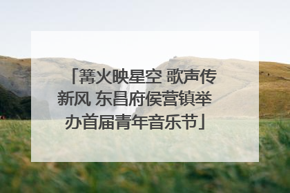 篝火映星空 歌声传新风 东昌府侯营镇举办首届青年音乐节