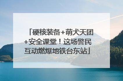 硬核装备+萌犬天团+安全课堂！这场警民互动燃爆地铁台东站