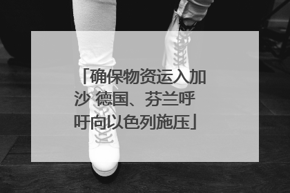 确保物资运入加沙 德国、芬兰呼吁向以色列施压