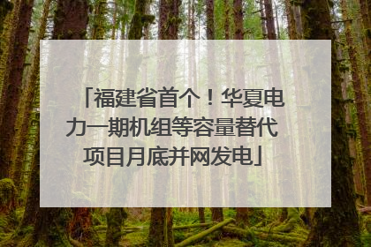 福建省首个！华夏电力一期机组等容量替代项目月底并网发电
