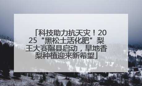 科技助力抗天灾！2025“黑松土活化肥”梨王大赛隰县启动，旱地香梨种植迎来新希望