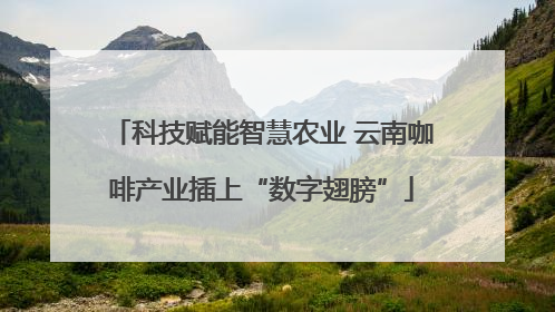 科技赋能智慧农业 云南咖啡产业插上“数字翅膀”