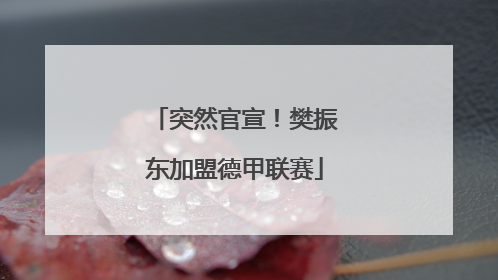 突然官宣！樊振东加盟德甲联赛