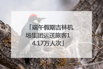 端午假期吉林机场集团运送旅客14.17万人次