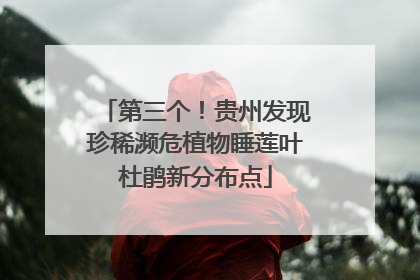 第三个！贵州发现珍稀濒危植物睡莲叶杜鹃新分布点