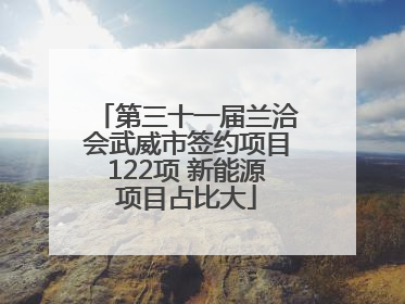 第三十一届兰洽会武威市签约项目122项 新能源项目占比大