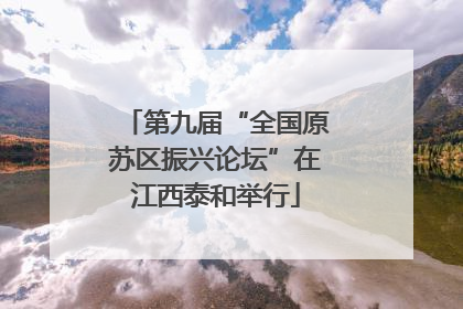 第九届“全国原苏区振兴论坛”在江西泰和举行