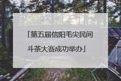第五届信阳毛尖民间斗茶大赛成功举办