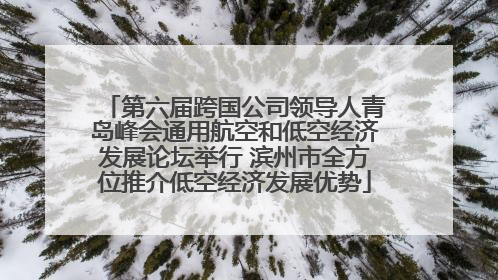 第六届跨国公司领导人青岛峰会通用航空和低空经济发展论坛举行 滨州市全方位推介低空经济发展优势