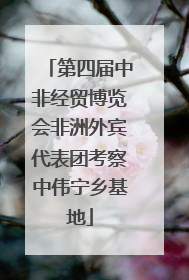 第四届中非经贸博览会非洲外宾代表团考察中伟宁乡基地