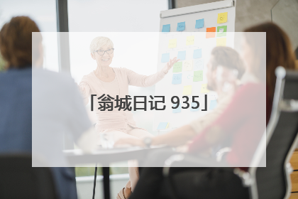 翁城日记 935